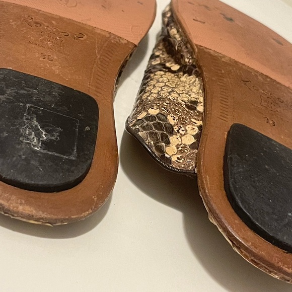 Rocco P. Python slip on - Picture 5 of 10